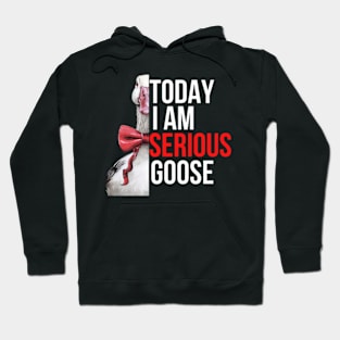 Today I Am Serious Goose Hoodie